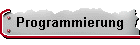 Programmierung